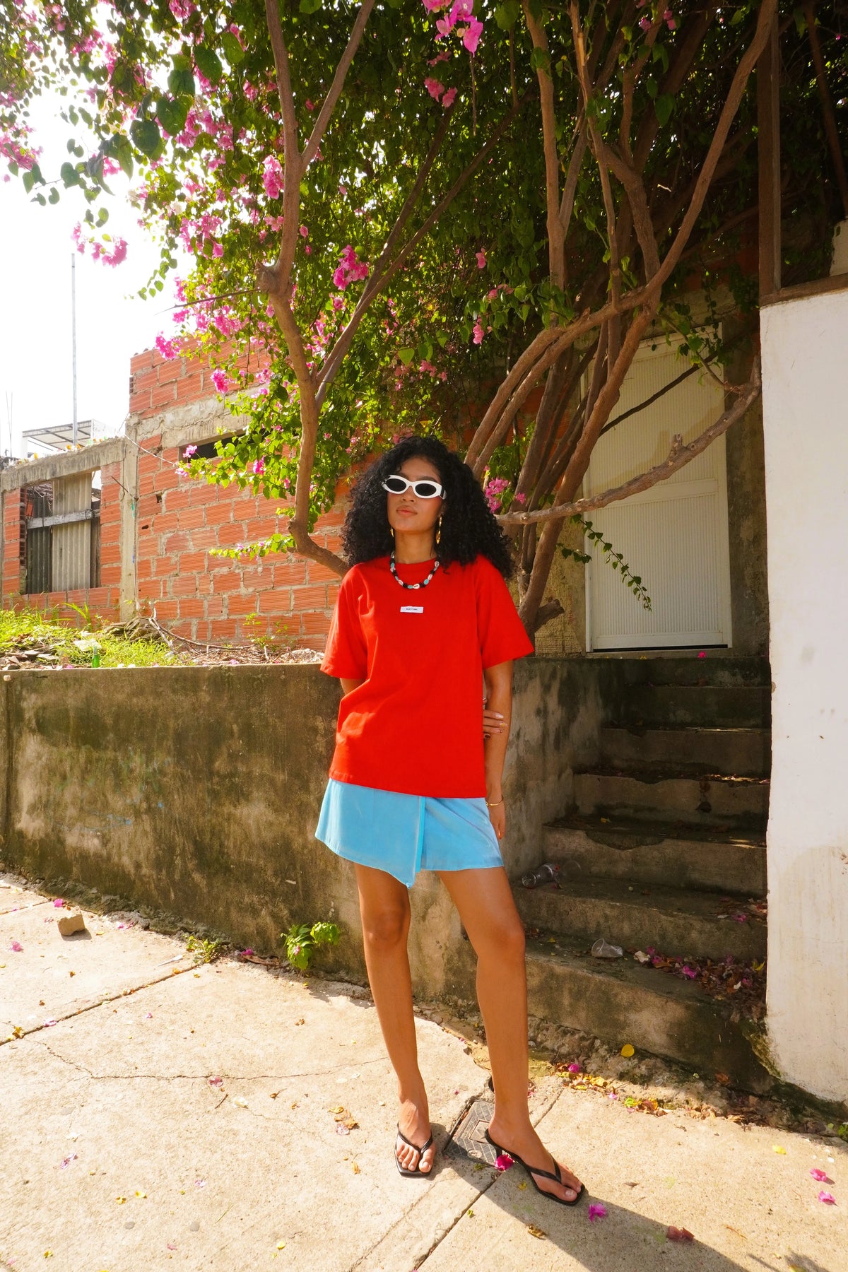 Basica Roja